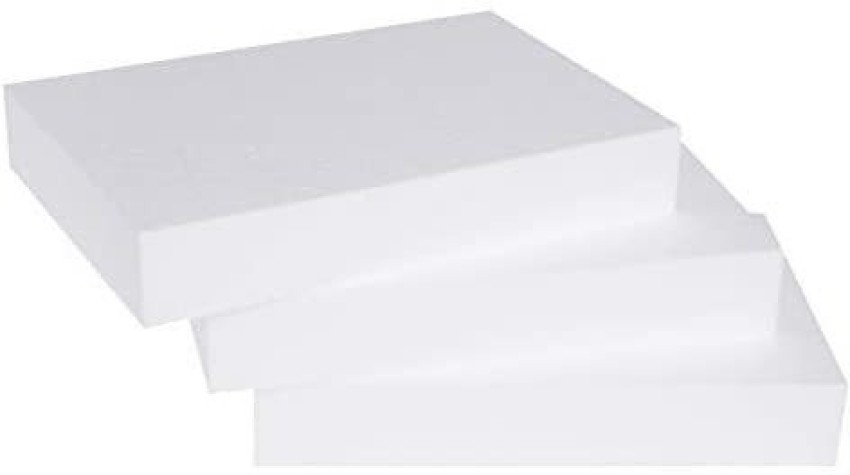 Lake Craft Foam Block-3 Pack Of 8X12X2 Eps Polystyrene Styrofoam Blocks For  Crafting, Modeling, Art Projects And Flora . shop for SILVERLAKE products  in India.
